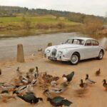 El Mk2 ofrecía seguridad y estabilidad gracias a su amplia cristalería, frenos de disco Dunlop de 12 pulgadas y vía trasera más ancha. Con el motor XK de 3.8 litros alcanzaba los 203 km/h, consolidándose como un sedán mediano seguro y elegante, ideal para quienes buscaban lujo y deportividad.