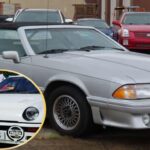 Los fanáticos de Ford descubren los modelos más raros jamás creados y no son los que imaginábamos