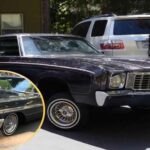 7 coches que hacen lowriders increíbles y eternos