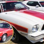 Times Ford llevó el Mustang en direcciones salvajes