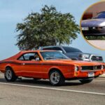 Clásicos accesibles que brillan en cualquier exposición