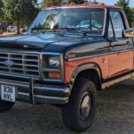 El Ford F-150 ha sido la camioneta más vendida en Estados Unidos durante más de cuatro décadas. Con una combinación de robustez e innovación, como cuerpos de aluminio y tecnología avanzada de remolque, este pickup ha sido un aliado confiable tanto en obras como en carreteras. Su capacidad de adaptarse a familias, trabajo pesado y aventuras lo ha convertido en un auténtico ícono estadounidense.