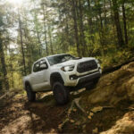 Precio base: 32.445 dólares | Mantenimiento en 5 años: 2.672 dólares

La Toyota Tacoma es una pick-up con seguidores fieles gracias a su durabilidad extrema. Muchos propietarios reportan más de 480.000 km recorridos. Además, mantiene un alto valor de reventa, lo que la convierte en una inversión inteligente.