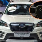 Los 5 mejores coches de Consumer Reports para 2026: descubre las ganadoras de fiabilidad y eficiencia.