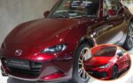 Los mejores coches que puedes comprar para tenerlos a largo plazo: modelos que duran años.