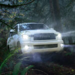 El Toyota Sequoia lidera los rankings de durabilidad con una vida útil potencial cercana a las 300.000 millas. Es uno de los SUV más resistentes del mercado y una apuesta segura incluso con alto kilometraje, siempre que haya tenido un mantenimiento adecuado.