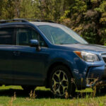 El Subaru Forester encadena más de una década como uno de los SUV más recomendados. Su nueva versión híbrida mejora aún más su eficiencia sin perder su ADN práctico, consolidándolo como una apuesta segura.