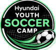 Hyundai Youth Soccer