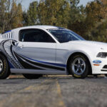 Creado para el SEMA 2012, este concept exploraba un sistema biturbo para drag racing. Aunque sin cifras oficiales, Ford lo describió como una máquina de par extremo diseñada para arrasar en recta.