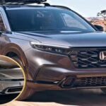 8 autos sólidos que duran mucho y no vacían tu billetera