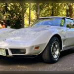 Durante los años 70, el Chevrolet Corvette L82 ayudó a preservar la reputación del Corvette como el gran deportivo estadounidense. Aunque las normativas anticontaminación limitaron considerablemente las cifras de potencia, Chevrolet compensó parcialmente con mejoras en chasis y peso. Su diseño agresivo, techo desmontable y motor V8 seguían ofreciendo una experiencia emocionante, permitiendo al Corvette mantener su prestigio incluso en plena crisis del rendimiento americano.
