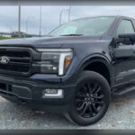 La Ford F-150 PowerBoost Hybrid intenta combinar capacidad de trabajo con tecnología híbrida avanzada, pero muchos usuarios reportan comportamientos extraños en la transmisión.

Golpes bruscos, errores electrónicos y mensajes de advertencia inesperados están afectando seriamente la experiencia de propietarios de una de las pickups más vendidas del planeta.