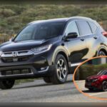 Los SUV más duraderos de 2026: 5 modelos que aguantan años y siguen siendo una compra inteligente.