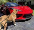 0260808 Corvette Stingray Coupe 3LT 2