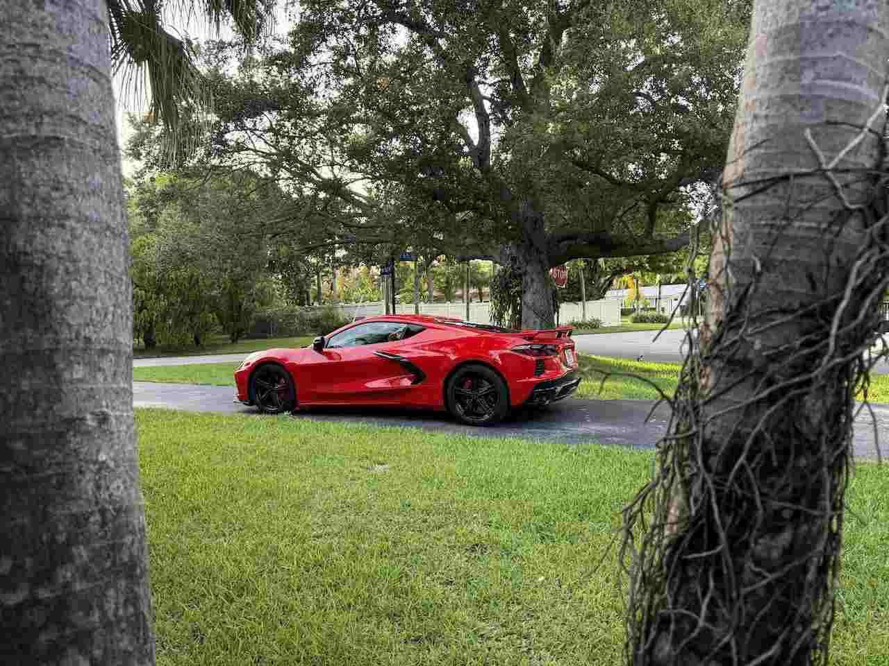 Corvette Stingray Coupe 3LT