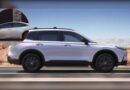 8 coches que sus dueños se niegan a abandonar incluso después de 10 años
