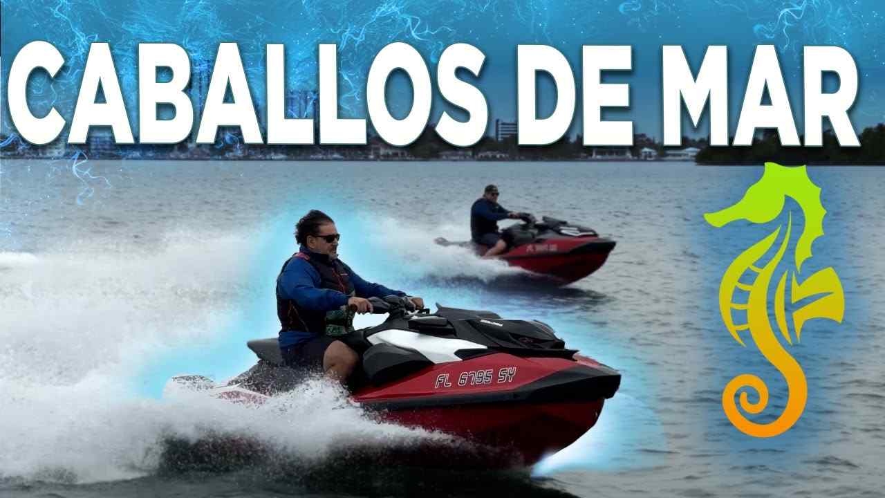 Sea Doo