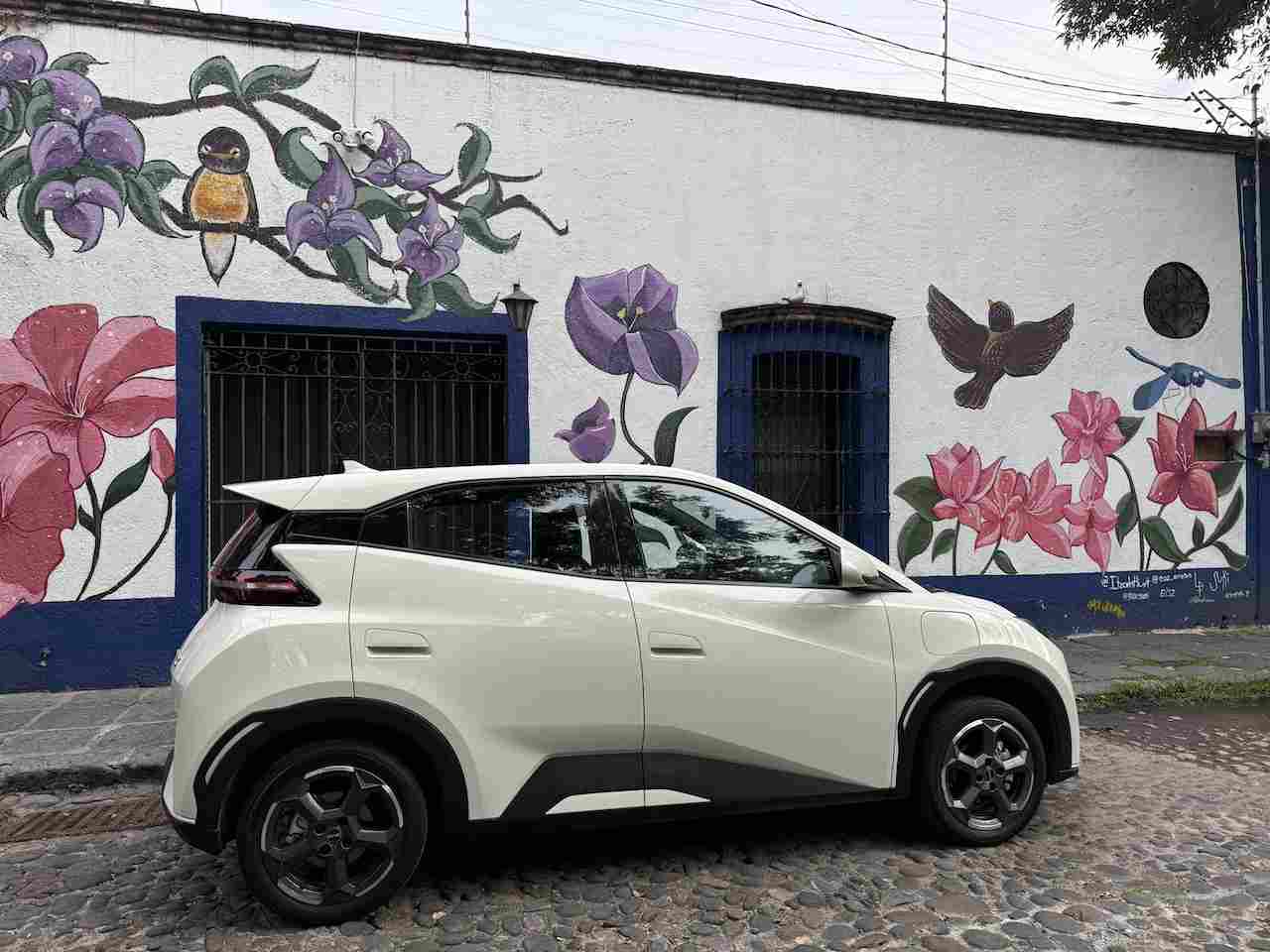 BYD Dolphin Mini