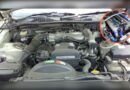 9 motores que sobrevivieron a sus coches y ahora viven en proyectos de otros aficionados